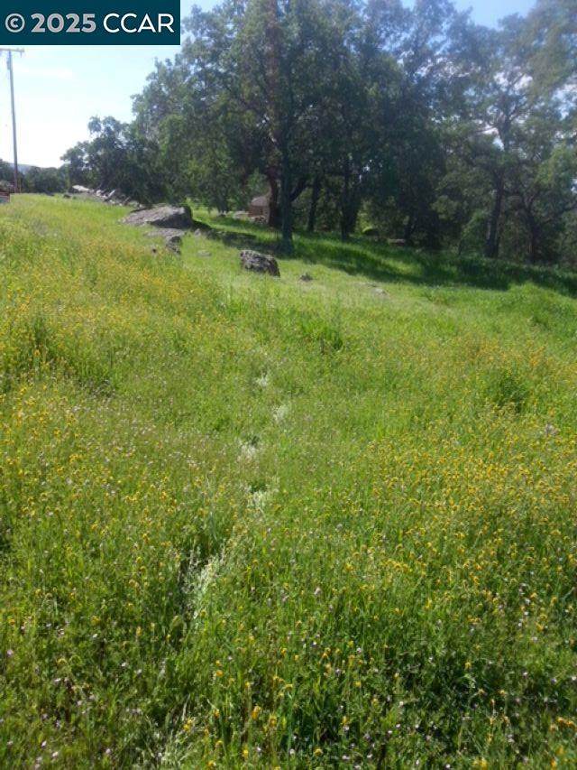 56 Deer Hollow Trail - Photo 1