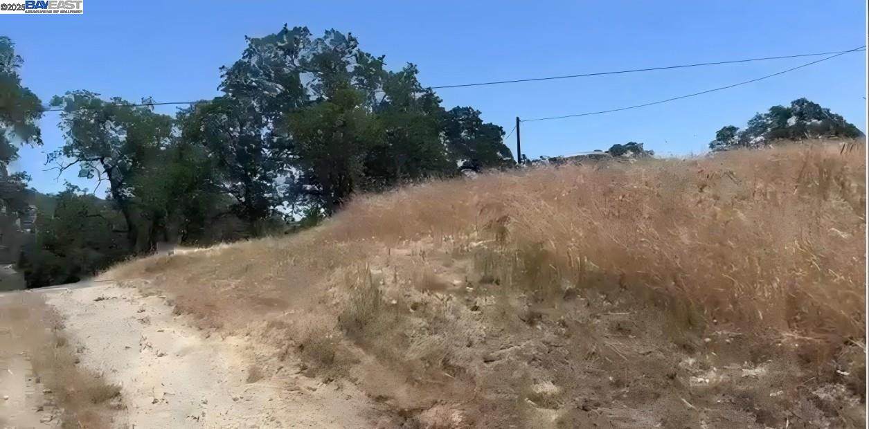 Crystal Springs Way - Photo 1