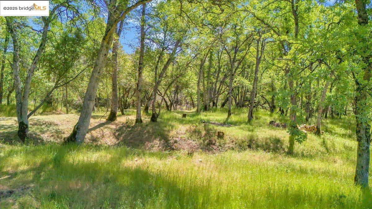 17951 Crowbar Ln - Photo 1