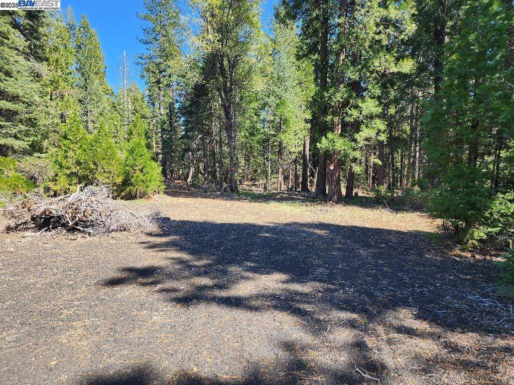 Aurora View Dr - Photo 1