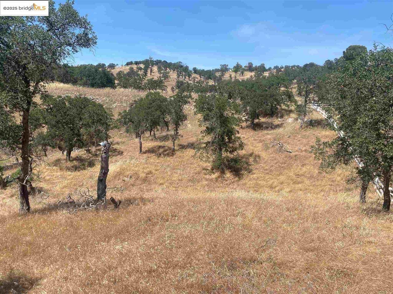 9787 Alamo Drive - Photo 1