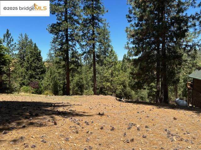 19364 Ferretti Rd - Photo 1