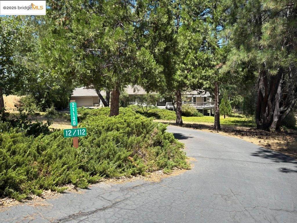 21130 Jimmersall Ln - Photo 1