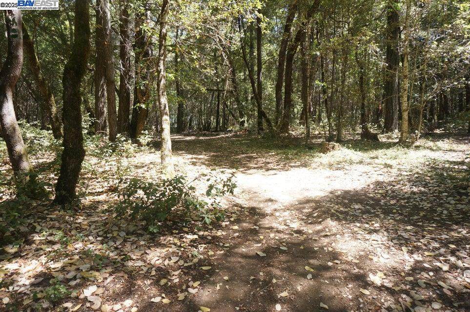 800 Suzy Q Rd - Photo 1