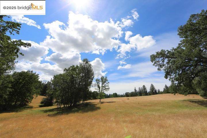 22000 Ferretti Rd. - Photo 1