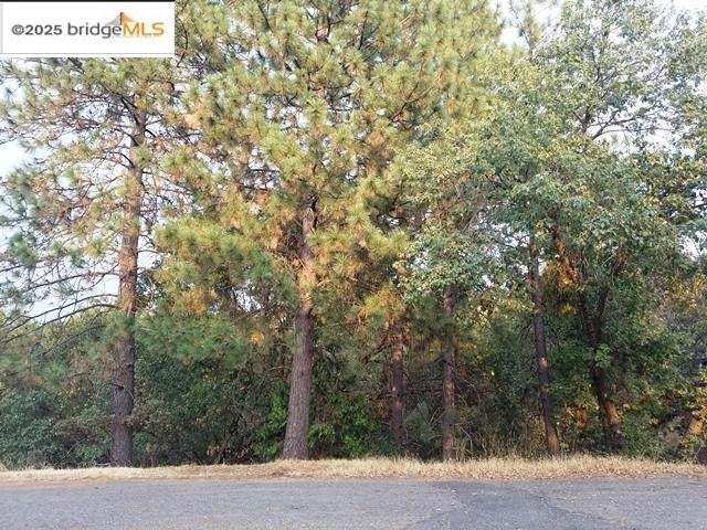 21473 Green Oaks - Photo 1