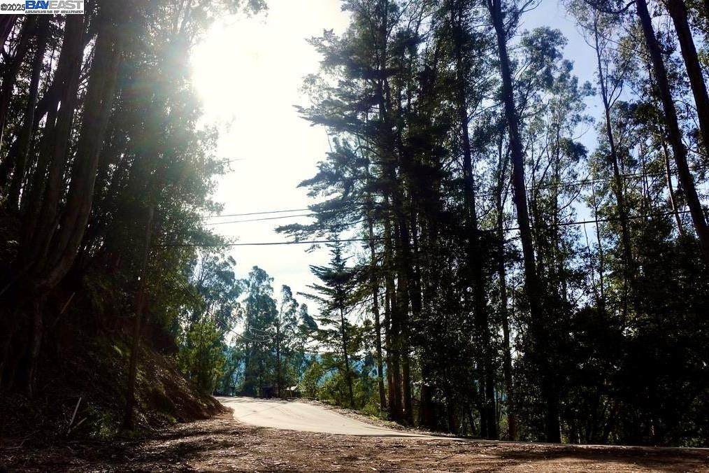 7590 Skyline Blvd - Photo 1