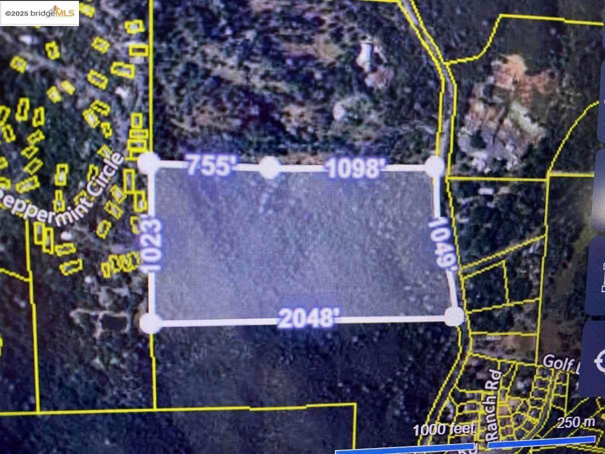 19100 Jamestown - Photo 1