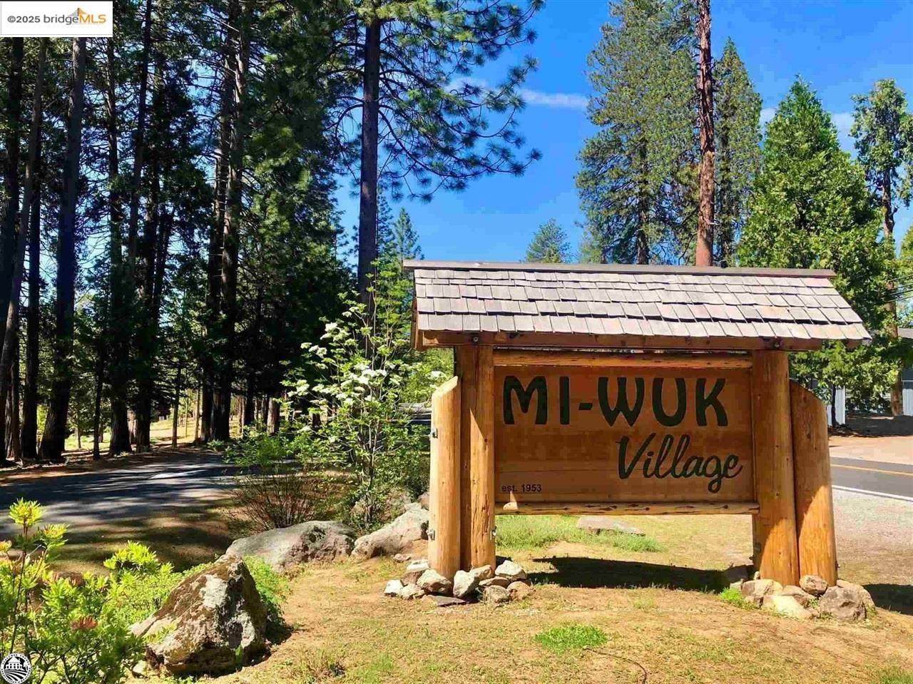 000 Olo Win Trail - Photo 1