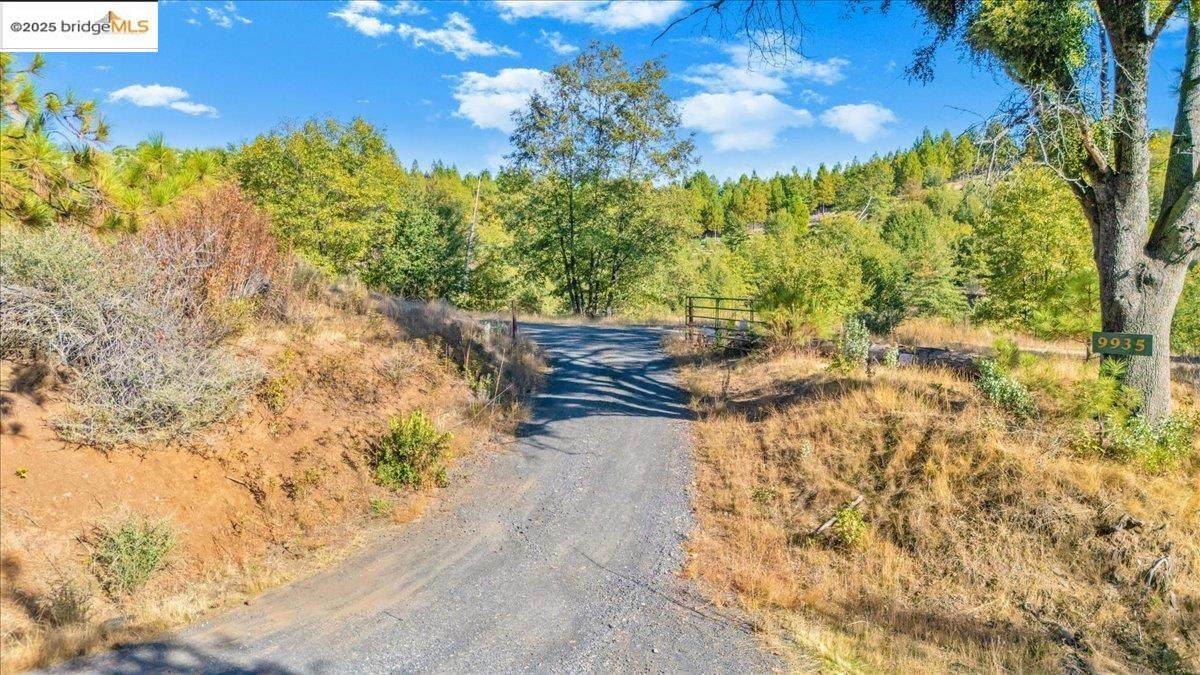 0000 Jackass Creek Rd - Photo 1
