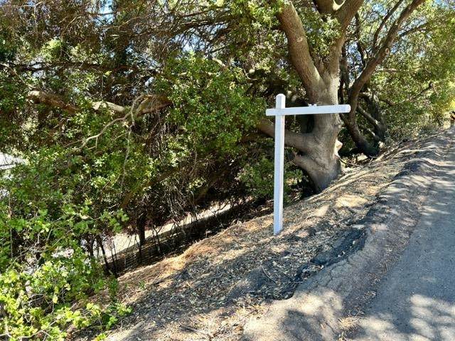 Carquinez Scenic Dr - Photo 1