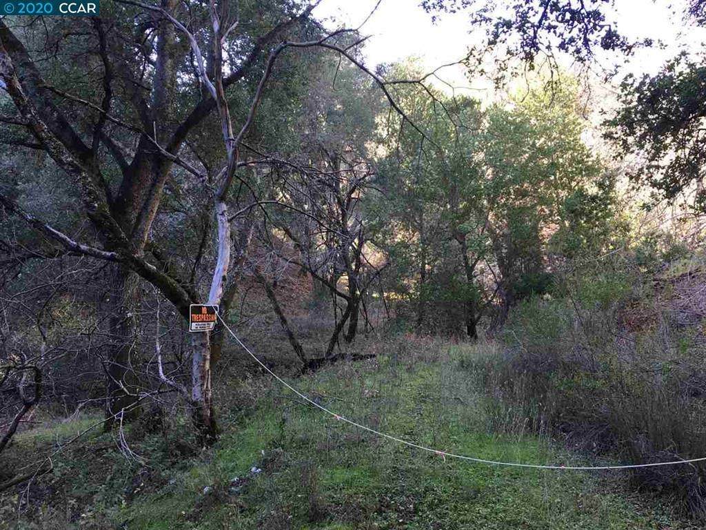 Lark Ln - Photo 1