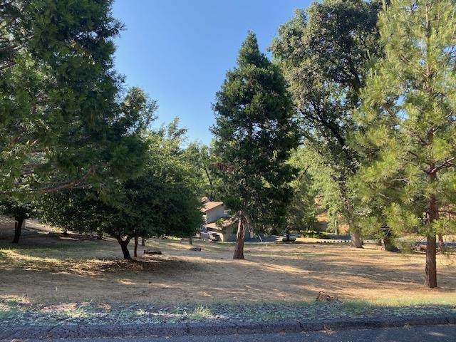 20782 Buttercup Circle - Photo 1