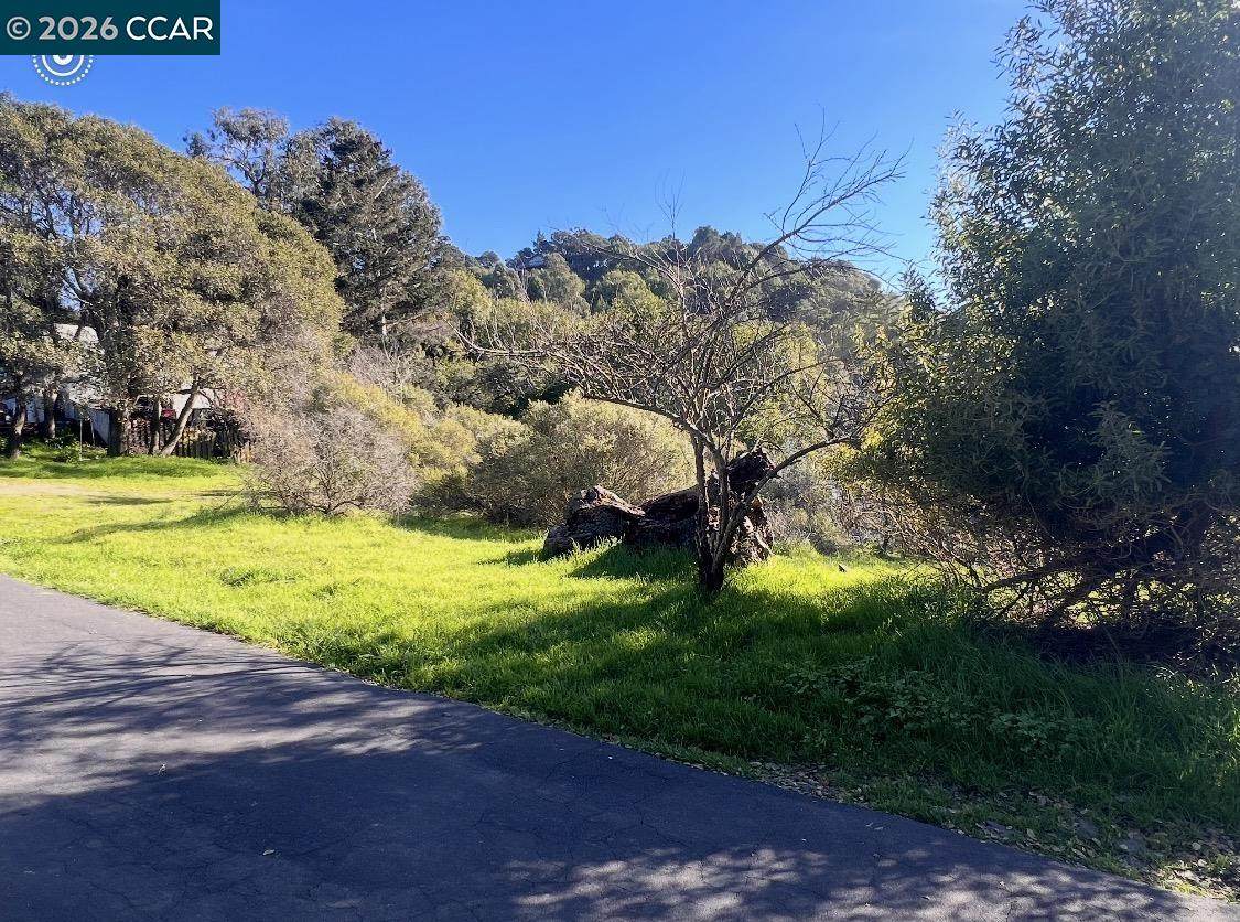 Sobrante Ave - Photo 1