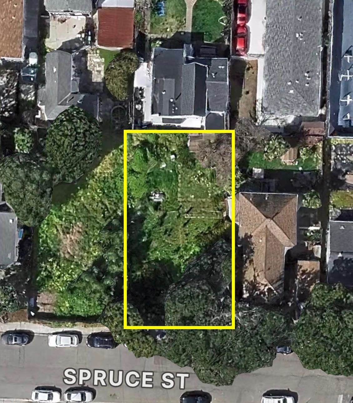 313 Spruce St - Photo 1