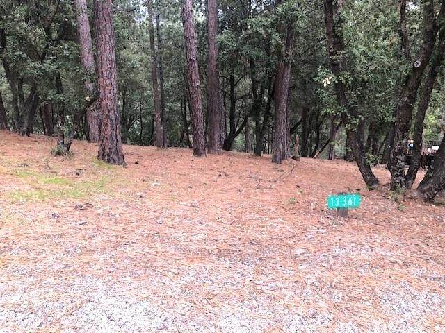 12301 Tower Peak Ct - Photo 1