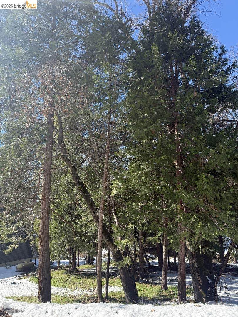 21730 Wasatch Mountain Rd - Photo 1