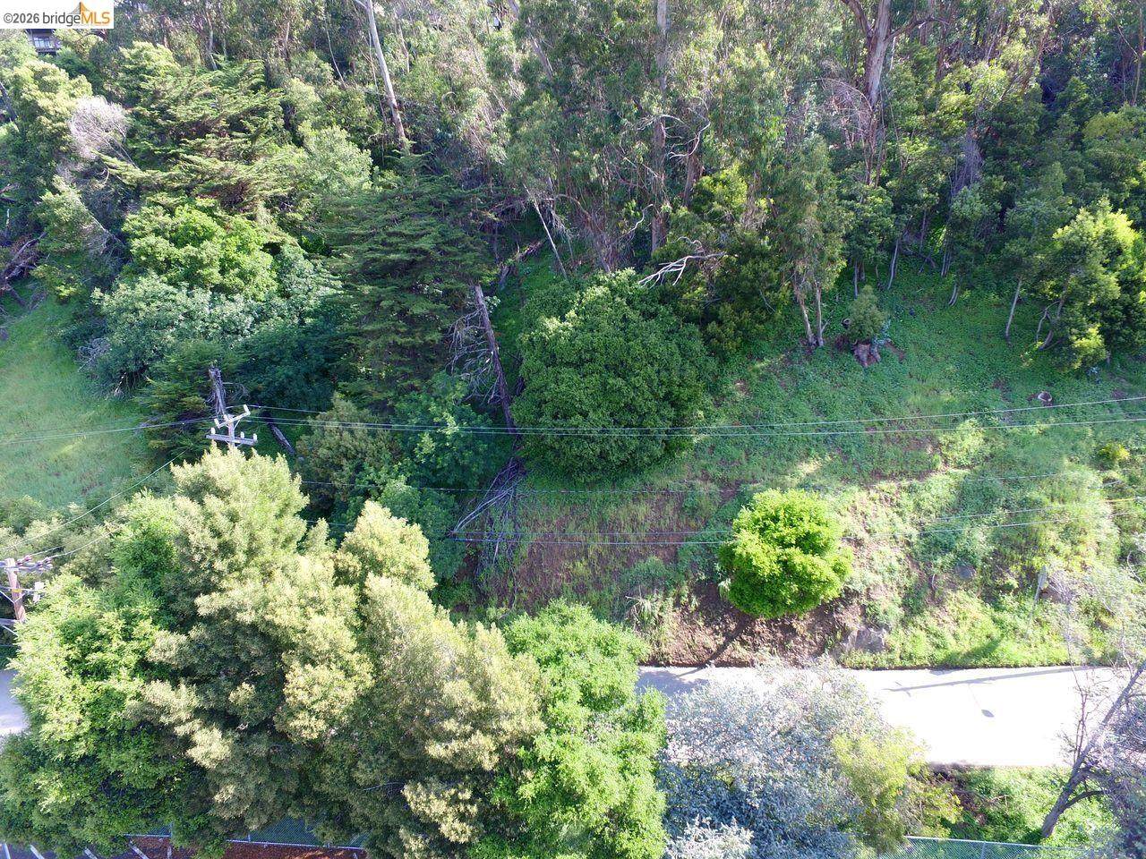 Scout Rd - Photo 1