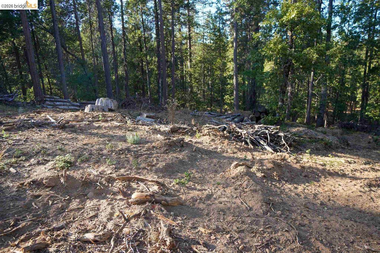 169 Canyon View - Photo 1