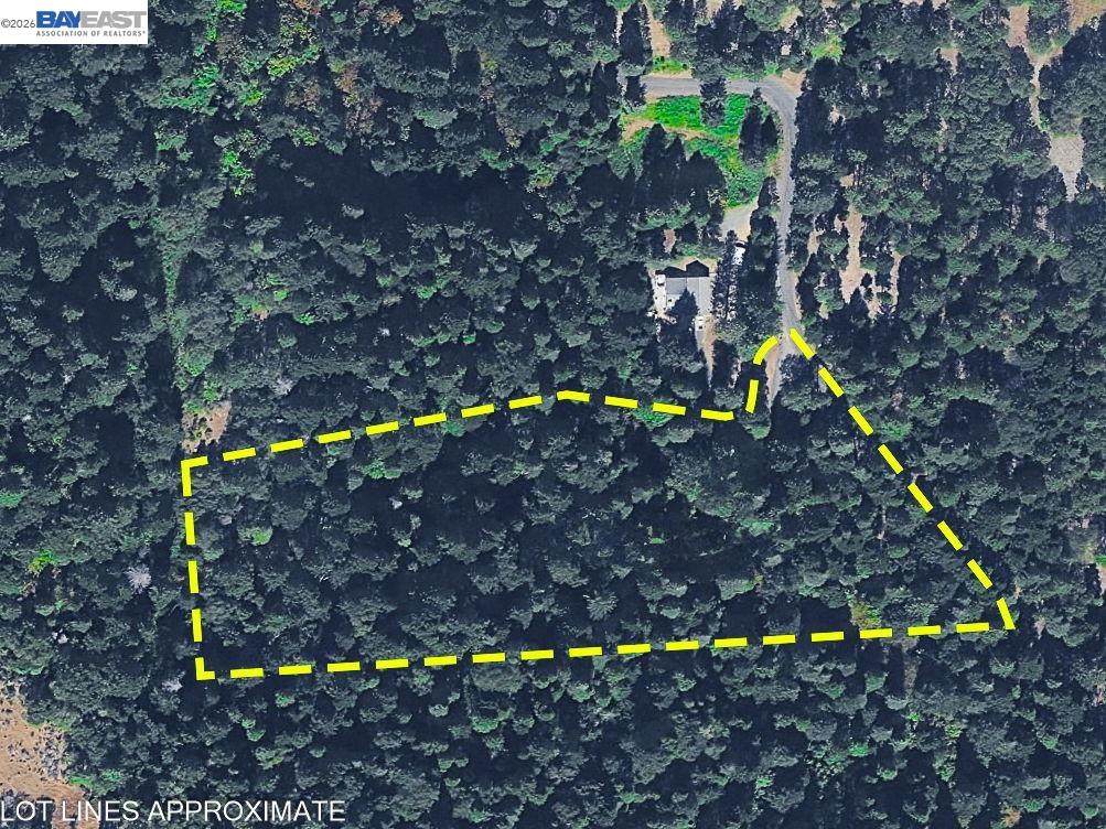5890 Starkes Grade Rd - Photo 1