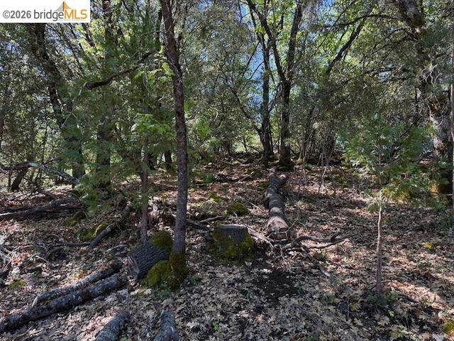 21344 Green Meadow Ln - Photo 1