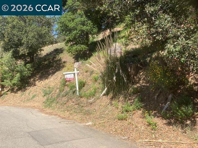 0000 Woodrow Drive - Photo 1