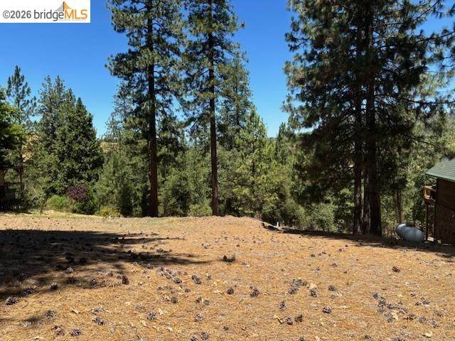 19364 Ferretti Rd - Photo 1