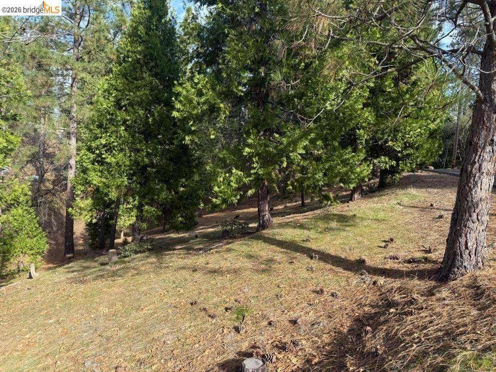 12037 Breckenridge Rd - Photo 1
