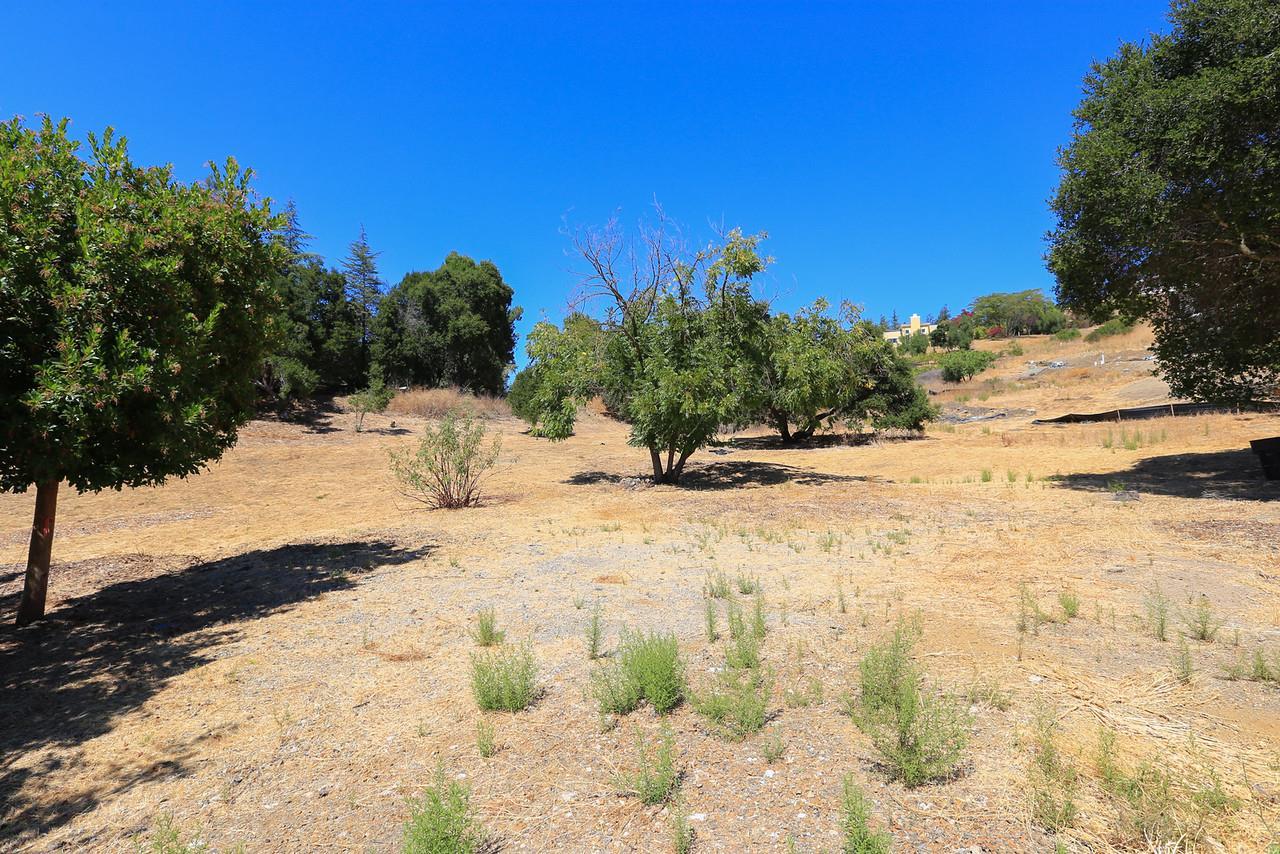 12815 Deer Creek Ln - Photo 1