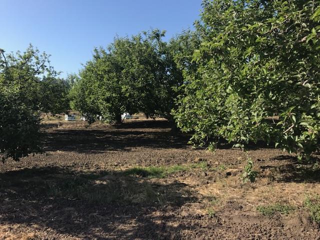 0 Merk Rd - Photo 1