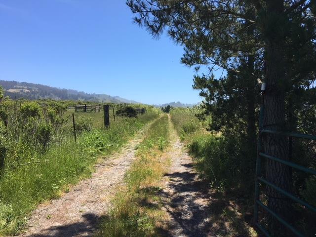 000 Lobitos Creek - Photo 1