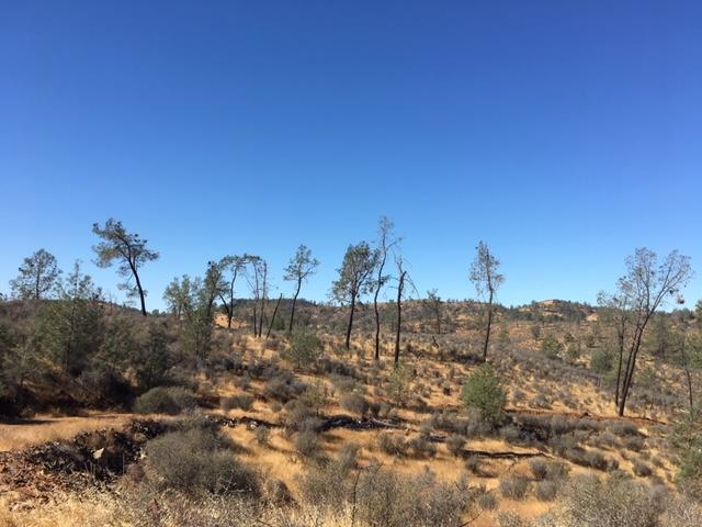 0 Six Bit Gulch Rd - Photo 1