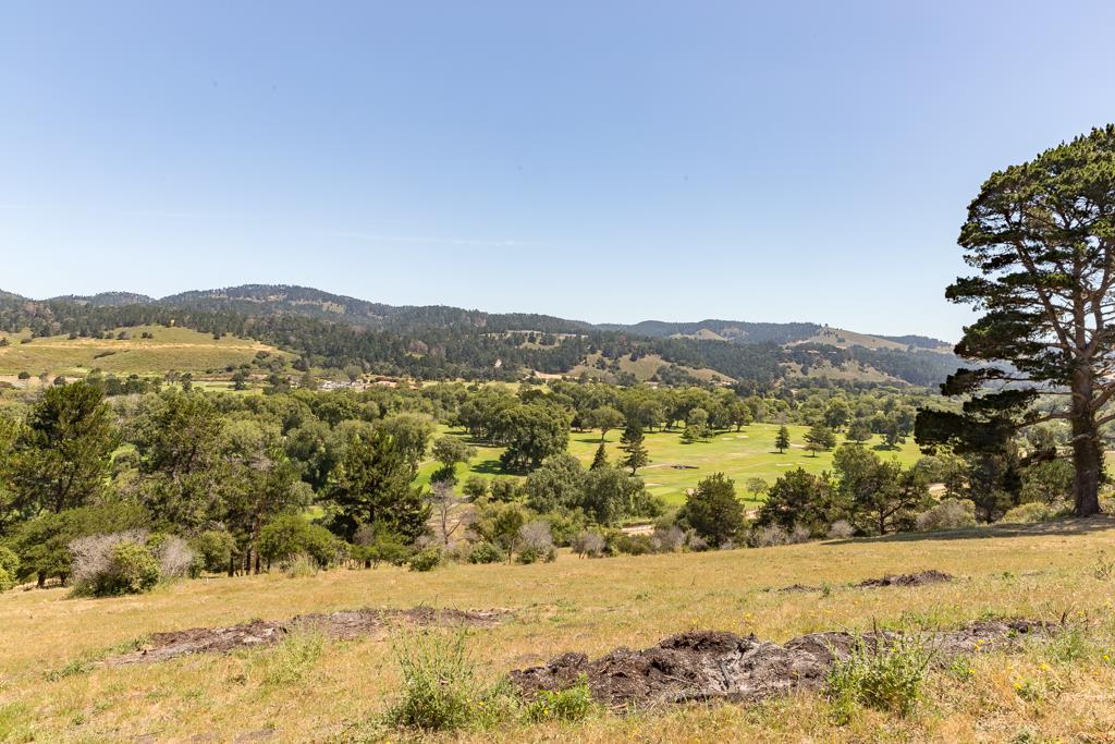 27060 Rancho San Carlos Rd - Photo 1
