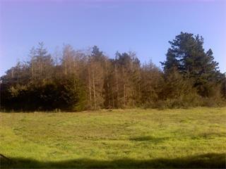 0 Hidden Valley Rd - Photo 1