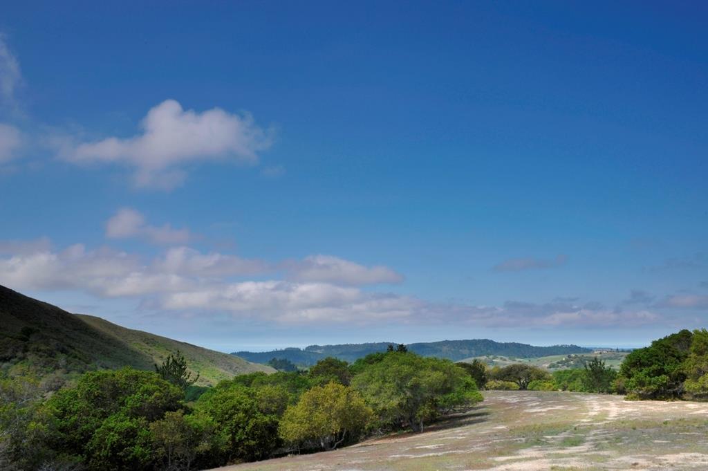 8425 Alta Tierra (Lot 66) - Photo 1