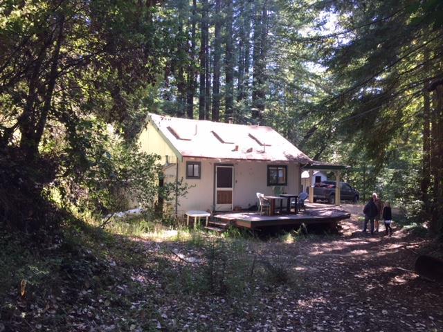 000 Little Buck Rd - Photo 1