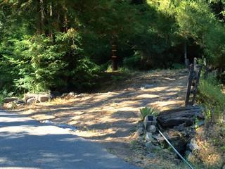 605 Hazel Brake - Photo 1