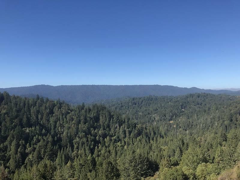 0 Amber Ridge Rd - Photo 1