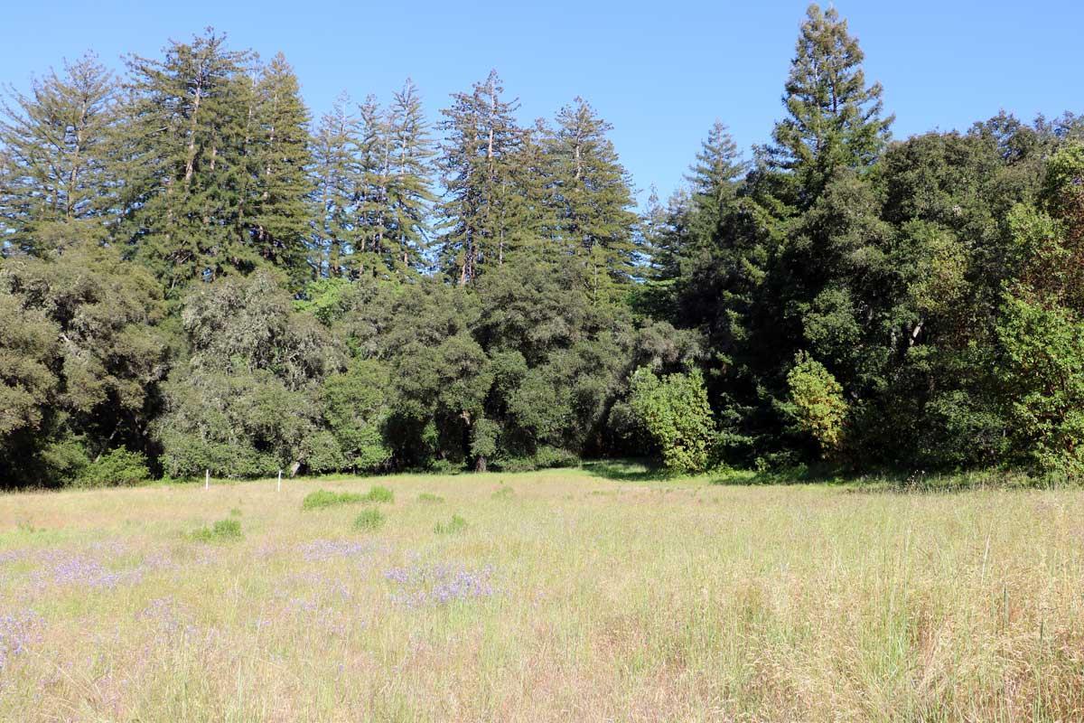 34300 Robinson Canyon Rd - Photo 1