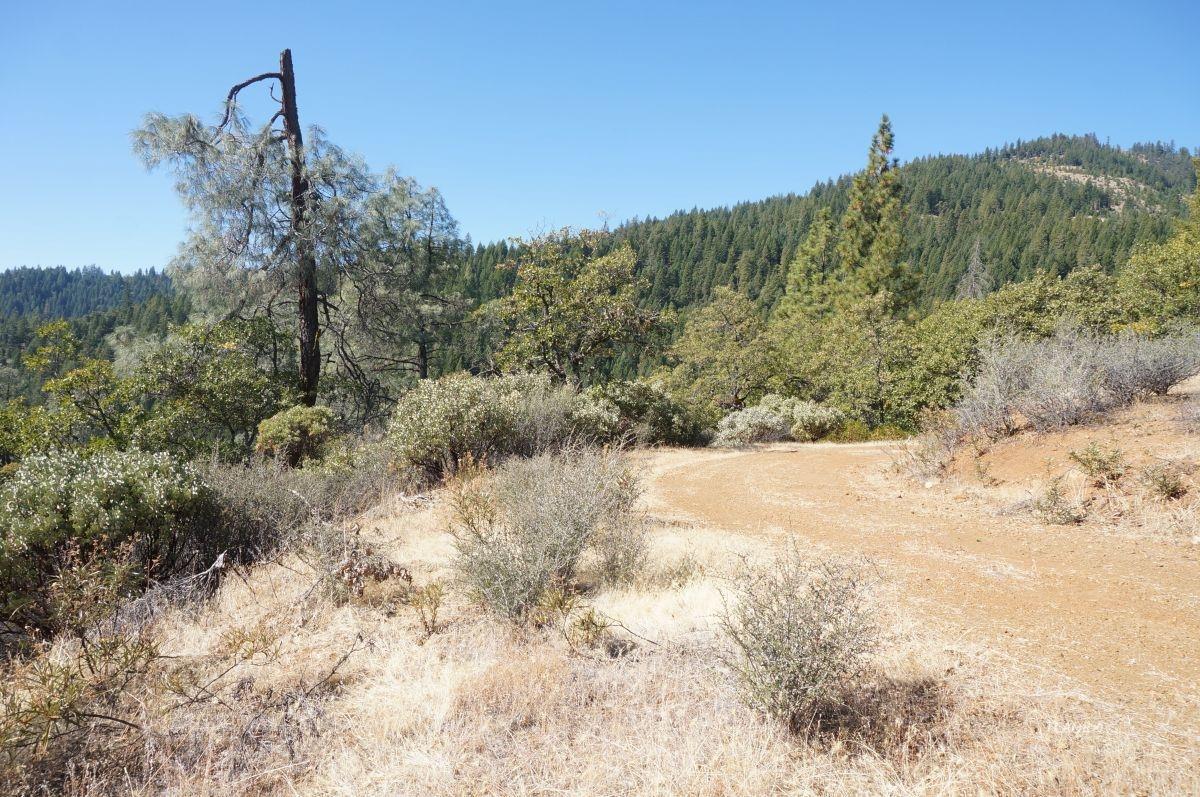 1130 Black Bear Rd - Photo 1