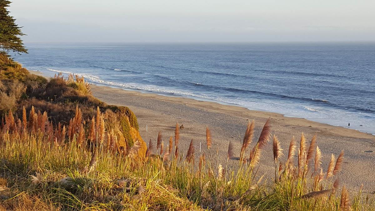 20 Seascape Resort Dr 20 - Photo 1