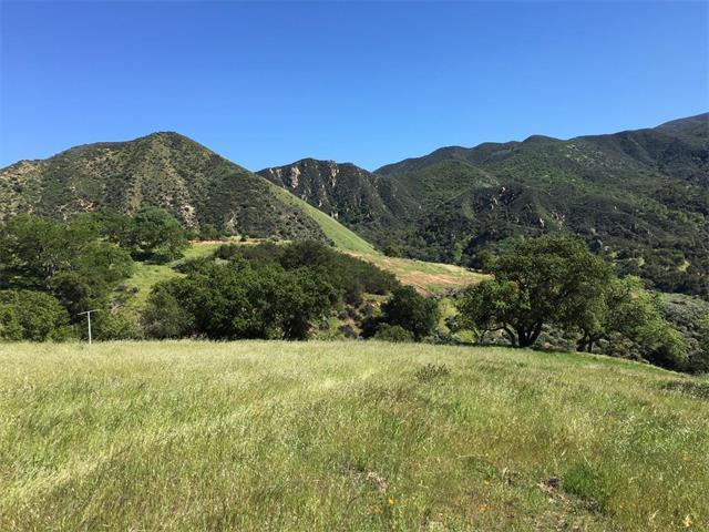 30050 Olivia Dr - Photo 1