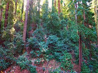 0 Patricia Ct - Photo 1