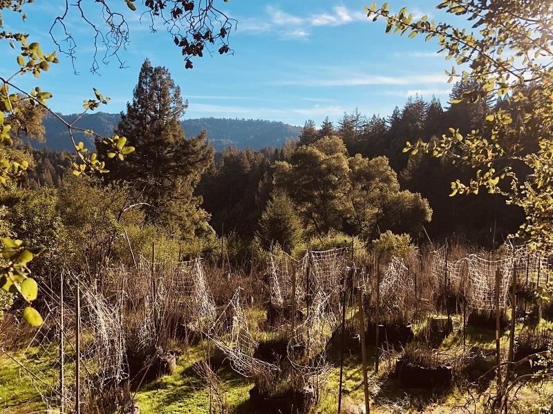 0 Branson Ranch Rd - Photo 1