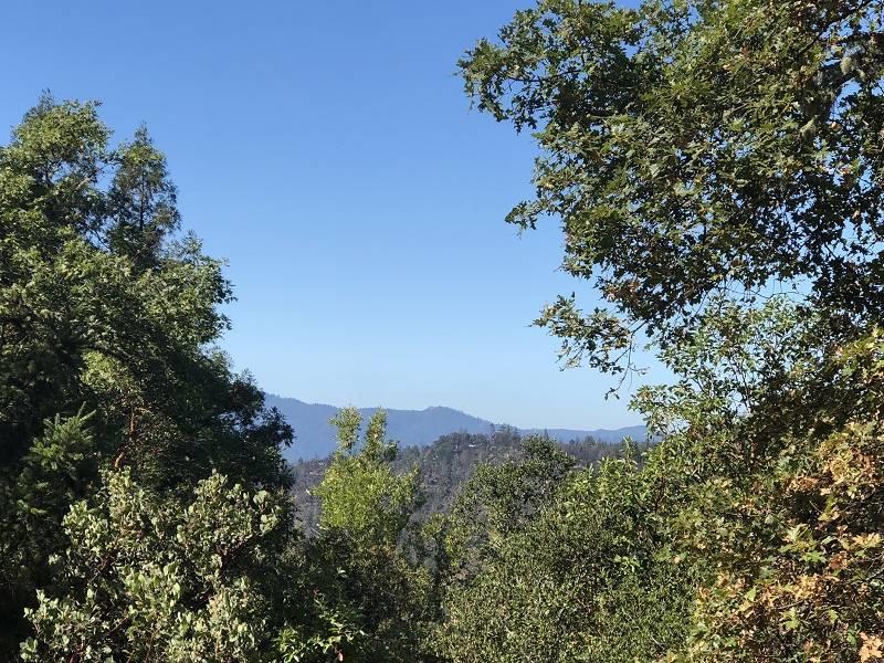 0 Conley Creek - Photo 1