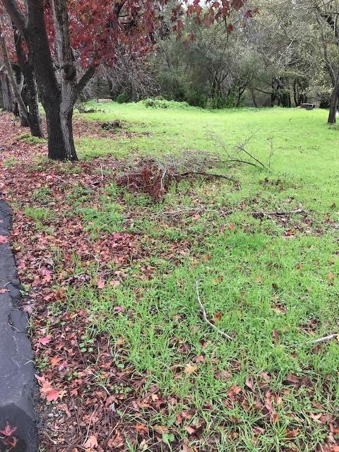Address Not Disclosed - Photo 1