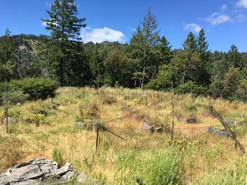 Hartman Creek Rd - Photo 1