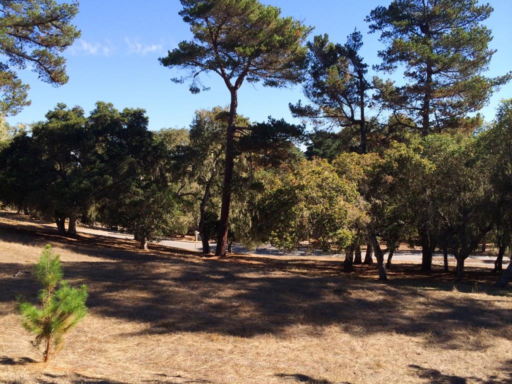 24262 Via Malpaso (Lot 28) - Photo 1