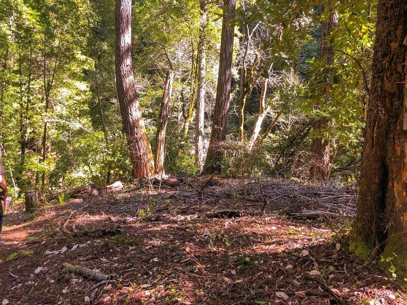 0 Bear Creek Rd - Photo 1