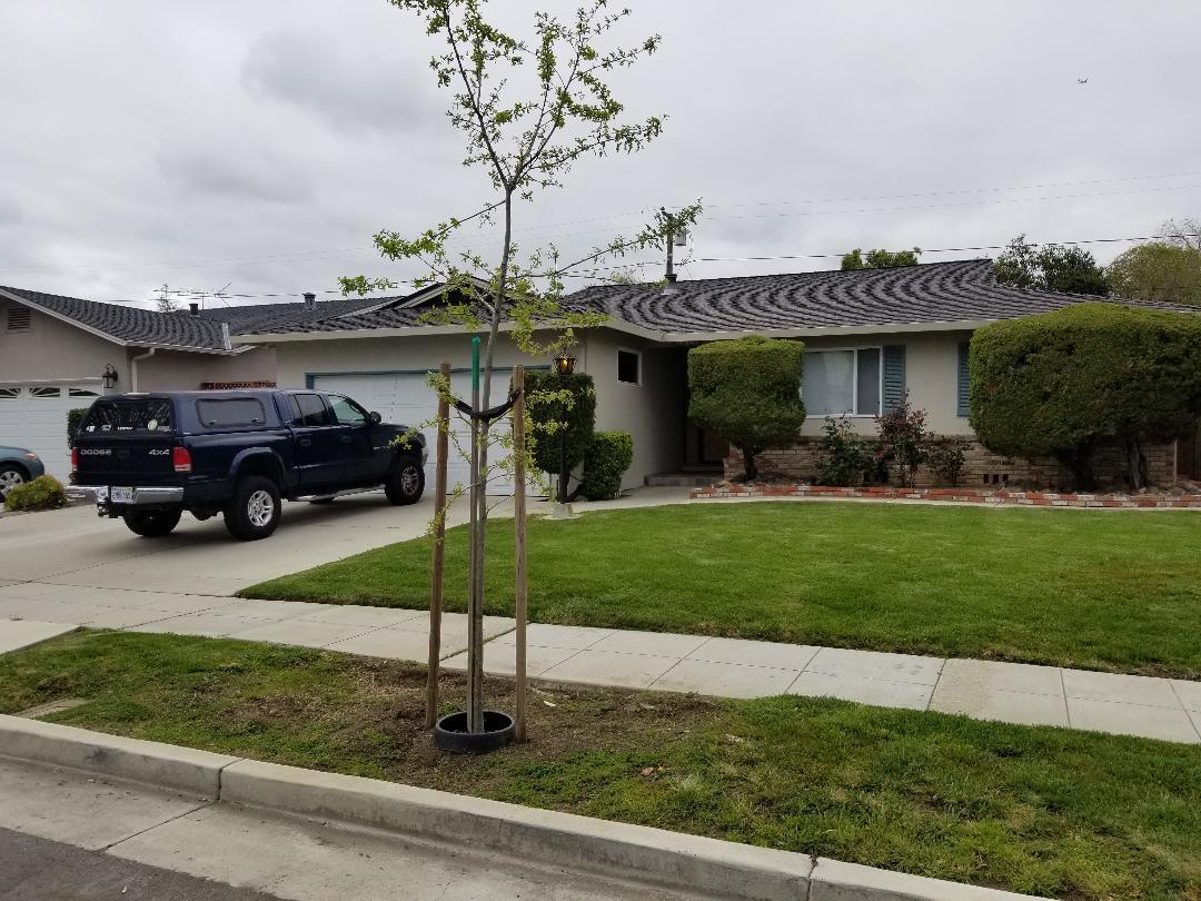 1621 Waxwing Ave - Photo 1
